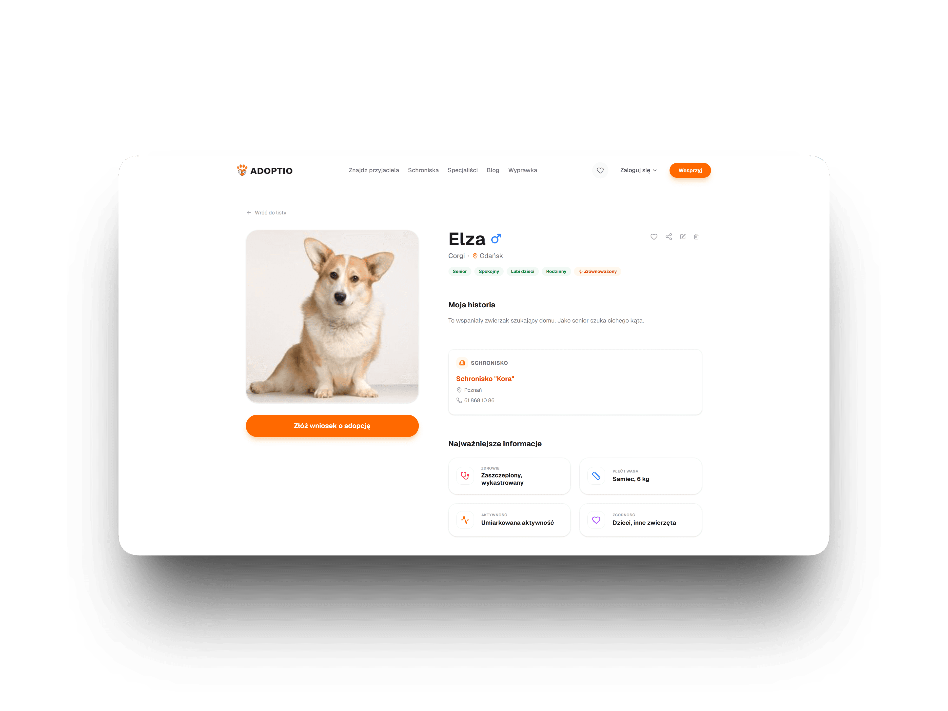 Adoptio pet profile page
